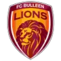 Bulleen Lions