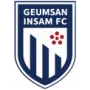 Geumsan Insam